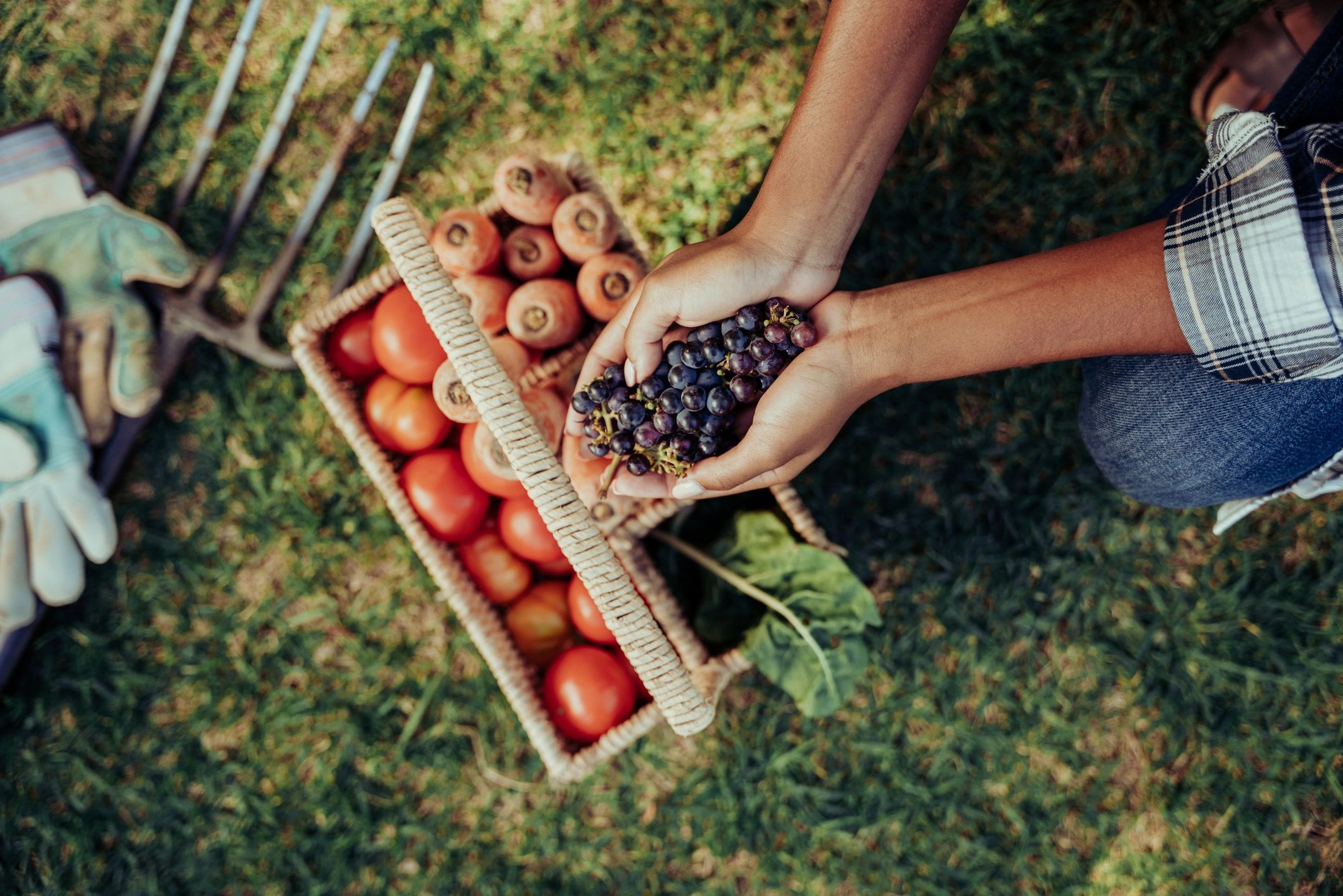 Person holding grapes above a basket of vegetables