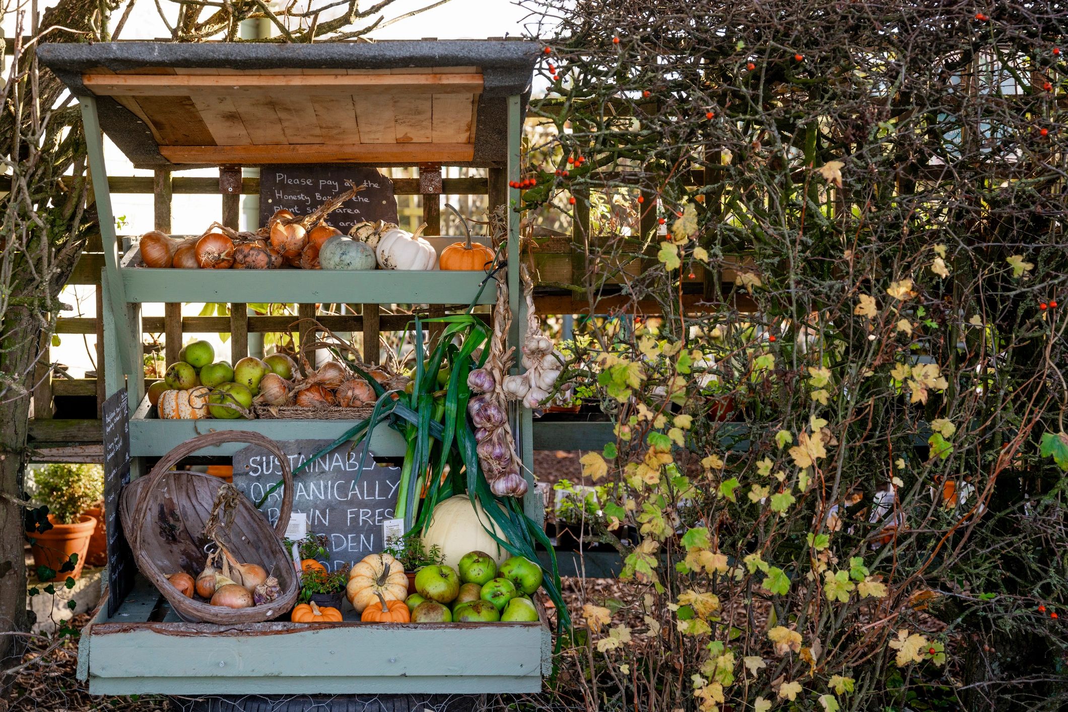 Organic vegetable stall in the countryside