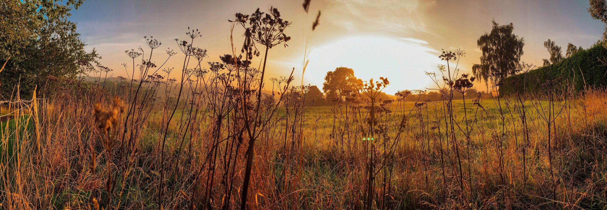 Sunrise over a peaceful farm meadow